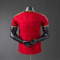 Belgium national 2026 Home player
