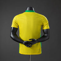 Brazil national 2025-2026 Home player