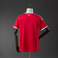 Tunisia 2026 Home Fan