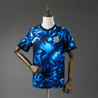 Paraguay 2026 Away Fan