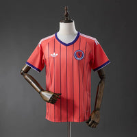 Scotland 2026 Away Fan